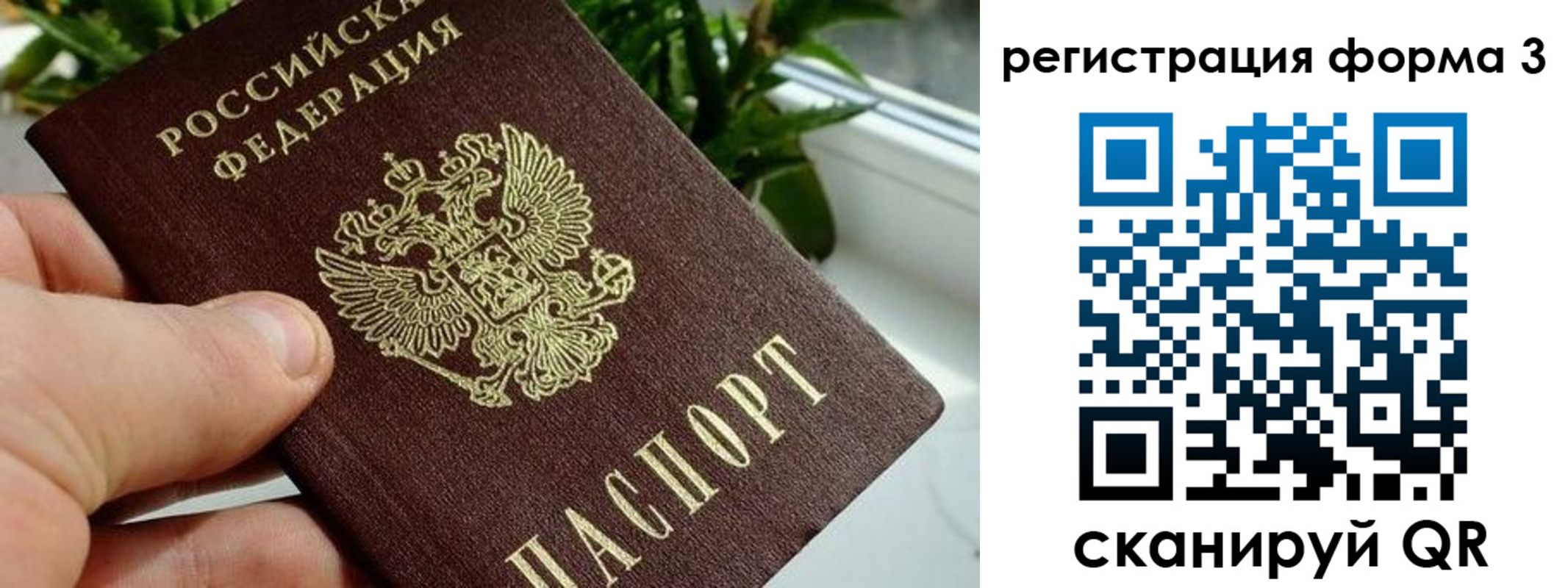 прописка штамп в Кореновске